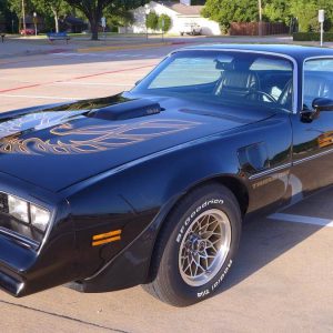 1978 Pontiac Trans Am WS6/W72 Survivor W/6