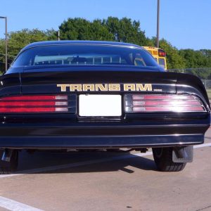 1978 Pontiac Trans Am WS6/W72 Survivor W/6