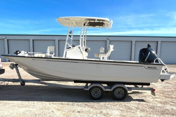 2020 Boston Whaler Montauk 210